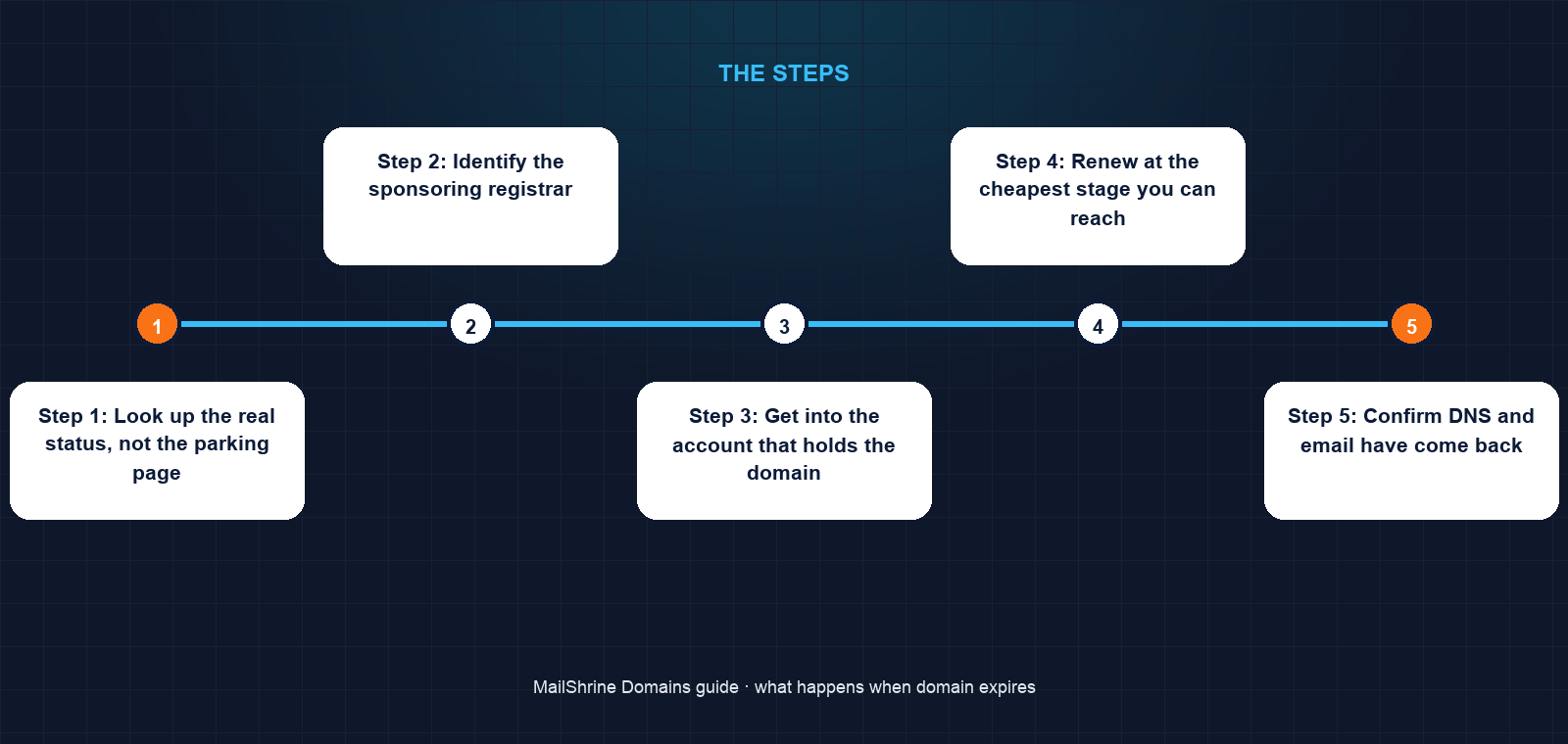 Domain expiry timeline from expiry date through grace, redemption, pending delete and drop